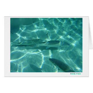 Cartão Peixes do osso
