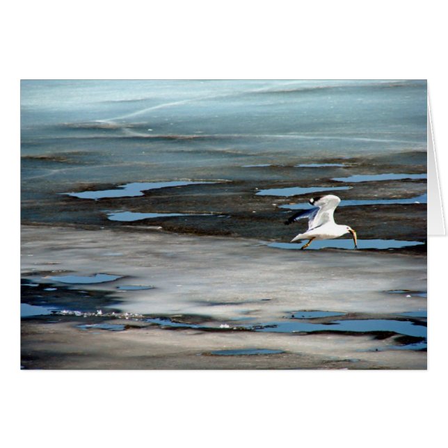 Cartão Peixes na Boca (Frente Horizontal)