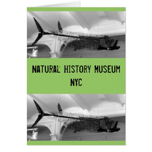 Cartão Peixes Pré-Históricos B+W (Frente)