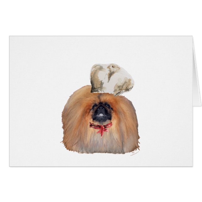 Cartão Pekingese Chef - Masculino (Frente Horizontal)
