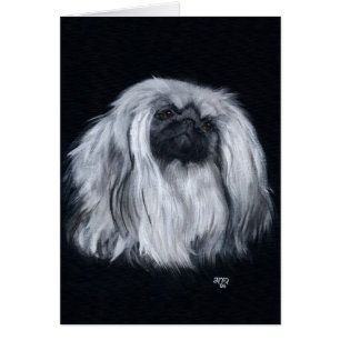 Cartão Pekingese Preto e Branco