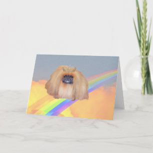 Cartão Pekingese Rainbow