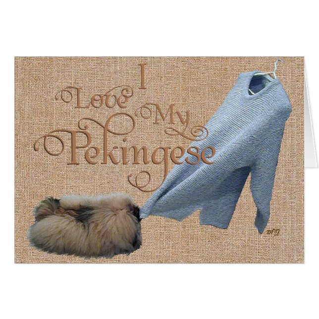 Cartão Pekingese Tug-O-War (Frente Horizontal)
