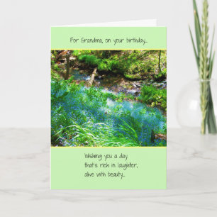 Cartão Pela Vovó, No Seu Aniversário