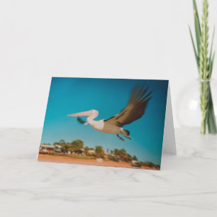 Cartão Pelican