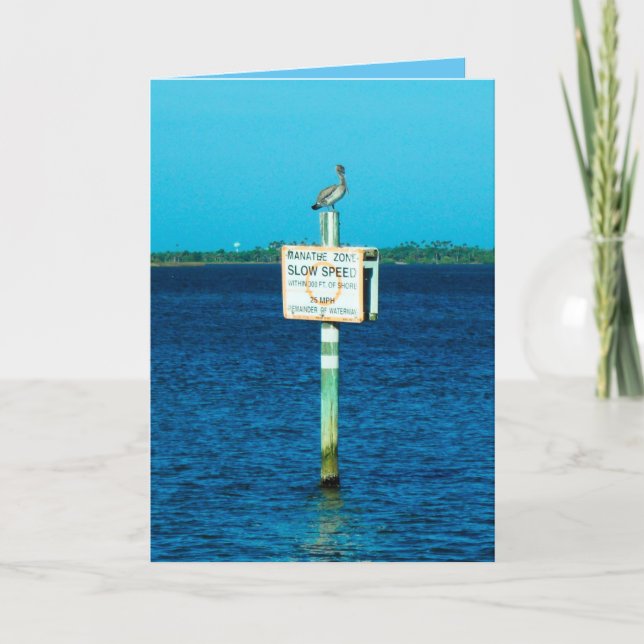 Cartão Pelican and Manatee Sign Greeting Card (Frente)