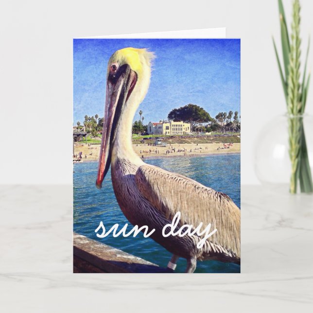 Cartão Pelican Beach Bird Photo Sun Day Script Modern (Frente)