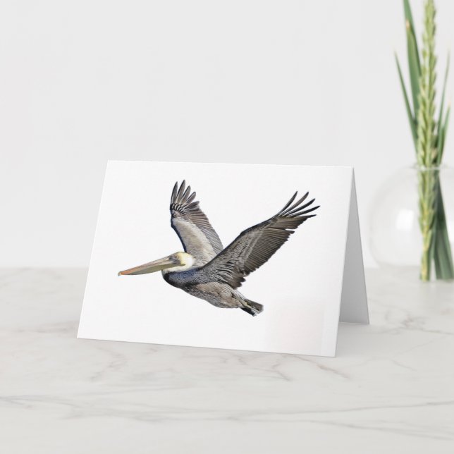 Cartão Pelican Clear (Frente)