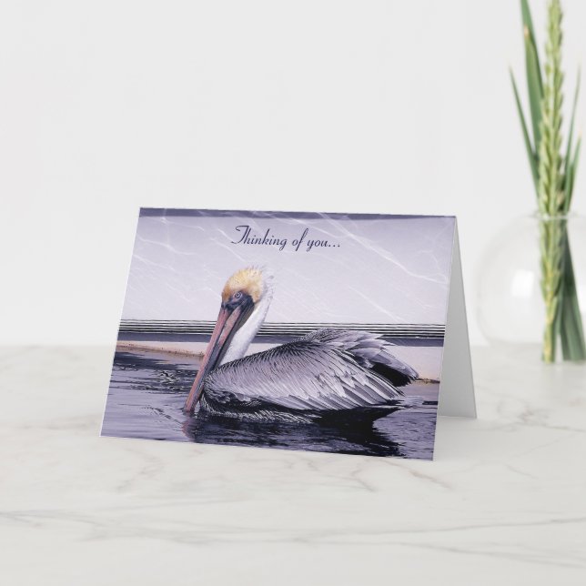 Cartão Pelican Gliding (Frente)