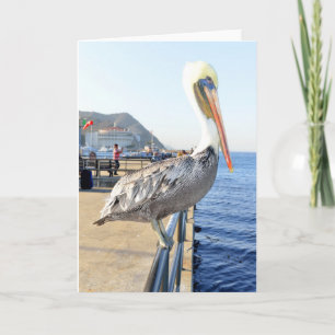 Cartão Pelican Greeting Card