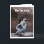 CARTÃO PELICAN IS FLYING BY TO SAY *HAPPY BIRTHDAY*<br><div class="desc">THIS BIRD HAS A HUGE "BEAK" AND A HUGE "WISH" AS WELL. HIS BIRTHDAY WISH IS PERFECT FOR YOUR FRIEND OR FAMILY MEMBER FOR SURE. THANK YOU FOR STOPPING BY ONE OF MY EIGHT STORES~~</div>