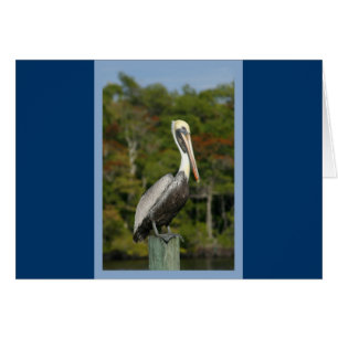 Cartão Pelican on Blue