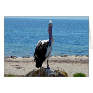 Cartão Pelican Stare Down,