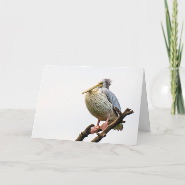 Cartão Pelican, Tanzânia (Frente)