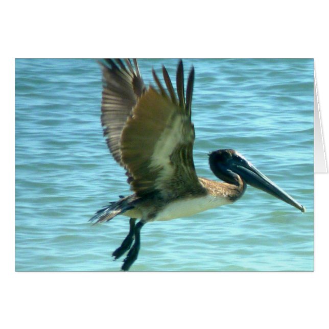 Cartão Pelican Watch (Frente horizontal)