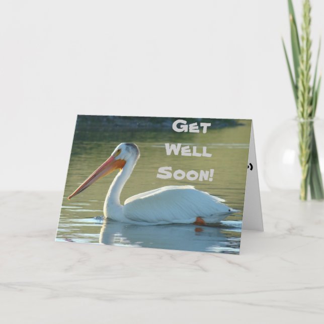 Cartão Pelicano branco B4 (Frente)