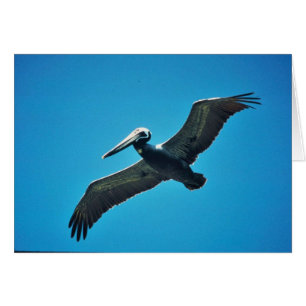 Cartão Pelicano marrom em voo