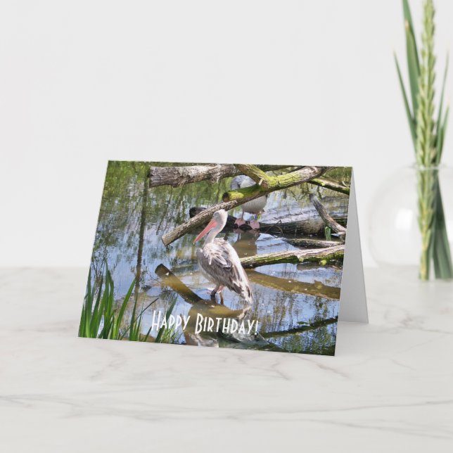 CARTÃO PELICANOS (Frente)