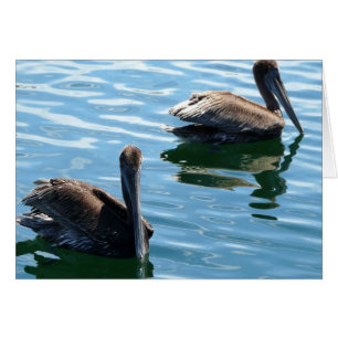 Cartão Pelicanos