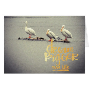 Cartão Pelicanos e Seagull Dream Maior Inspirador