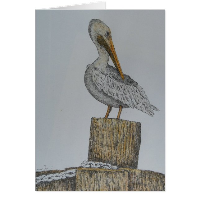 Cartão Pelly solitário (Frente)