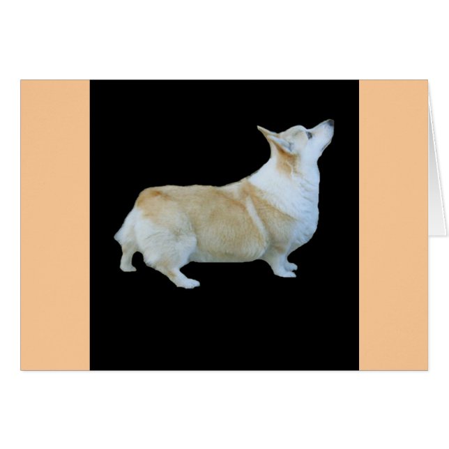 Cartão Pembroke Welsh Corgi (Frente Horizontal)