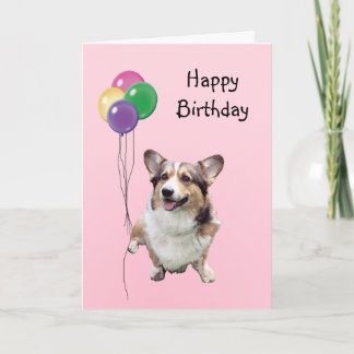 Cartão Pembroke Welsh Corgi, Balões de Aniversário