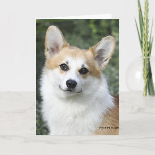 Cartão Pembroke Welsh Corgi Card