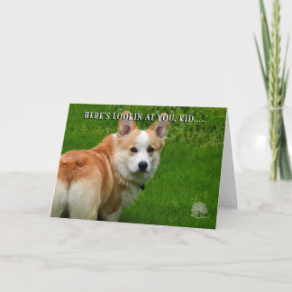 Cartão Pembroke Welsh Corgi Card