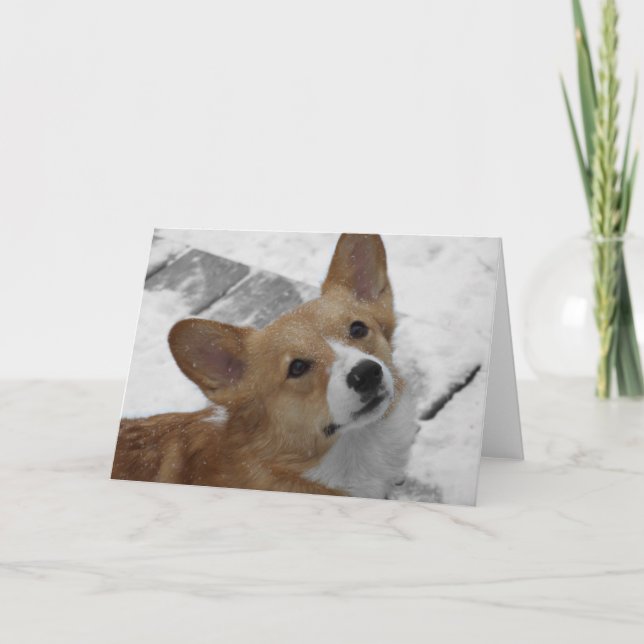 Cartão Pembroke Welsh Corgi in Snow Card (Frente)