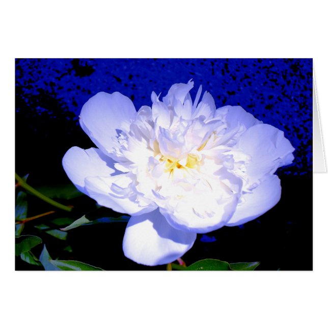 Cartão Pêmona floral azul púrpura Elegante (Frente Horizontal)