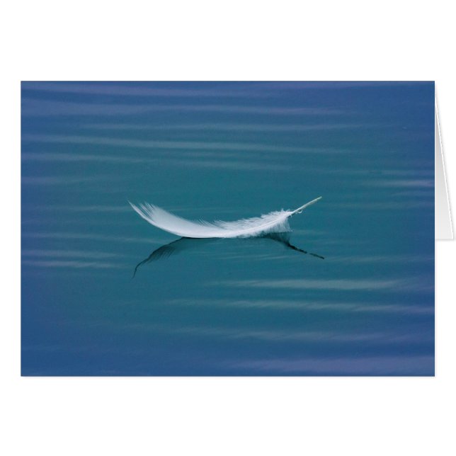 Cartão Pena branca na água (Frente Horizontal)