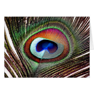 Cartão Pena Colorida de Peacock de Cobre