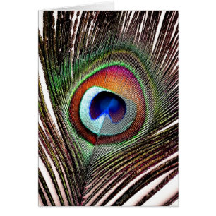 Cartão Pena Colorida de Peacock de Cobre