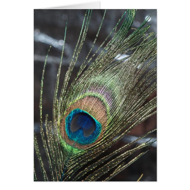 Cartão Pena de Pavão Metálico (Frente)