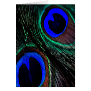 Cartão Pena de Peacock