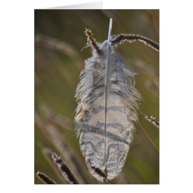 Cartão Pena do espírito diária (Frente)