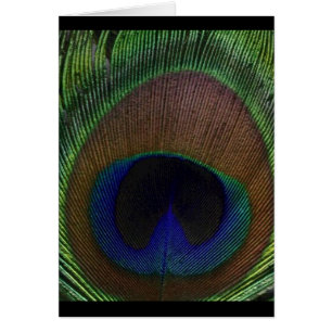 Cartão Pena do pavão