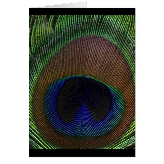 Cartão Pena do pavão (Frente)