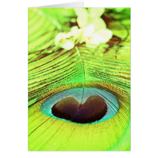 CARTÃO PENAS (Frente)