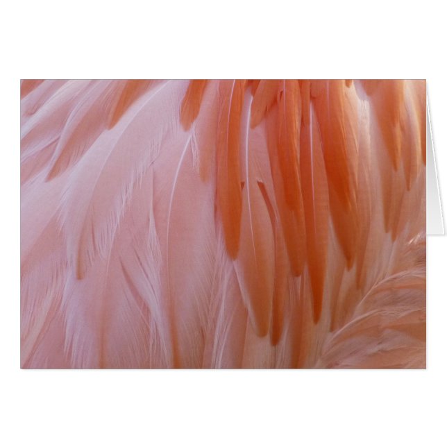 Cartão Penas de Flamingo em Tons de Rosa (Frente horizontal)