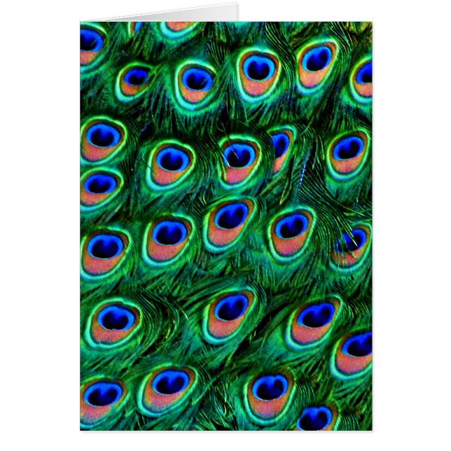 Cartão Penas de peacock_ (Frente)