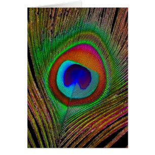 Cartão Penas de Peacock de Cobre Vibrantes