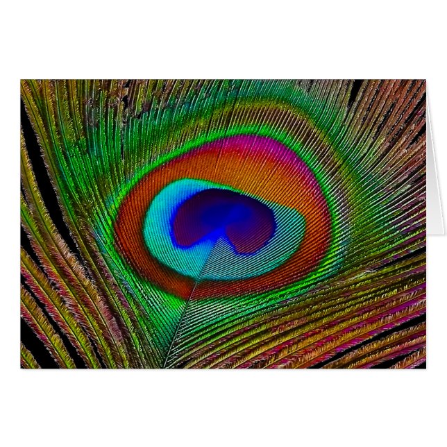 Cartão Penas de Peacock de Cobre Vibrantes (Frente Horizontal)