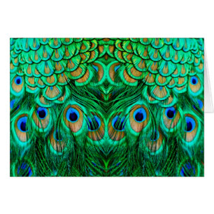 Cartão Penas de Peacock Gloriosas