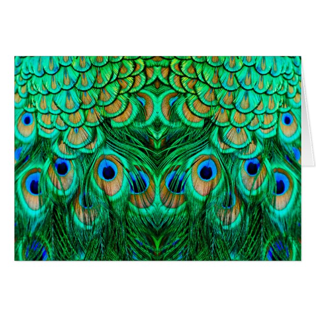 Cartão Penas de Peacock Gloriosas (Frente Horizontal)