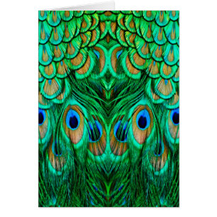 Cartão Penas de Peacock Gloriosas