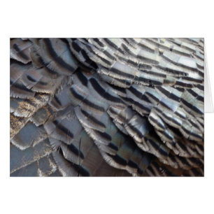 Cartão Penas de Peru Selvagem II Design Abstrato da Natur