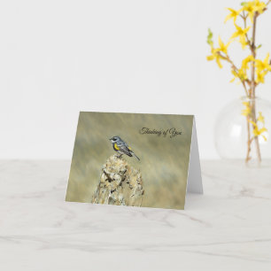 Cartão Peneireiro-de-barriga-amarela - Pensando em Você