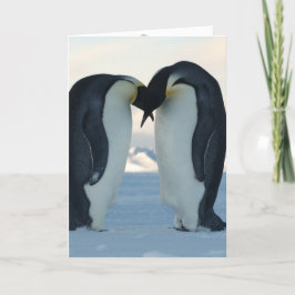 Cartão Penguin